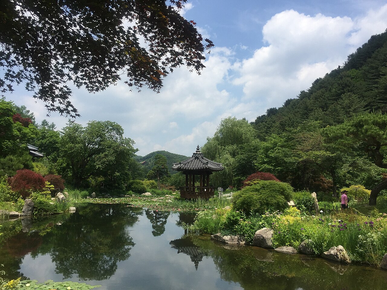 Morning Calm Arboretum (아침고요수목원) 5