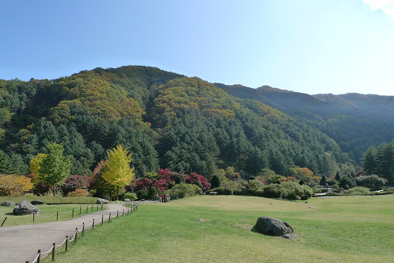 Morning Calm Arboretum (아침고요수목원) 1