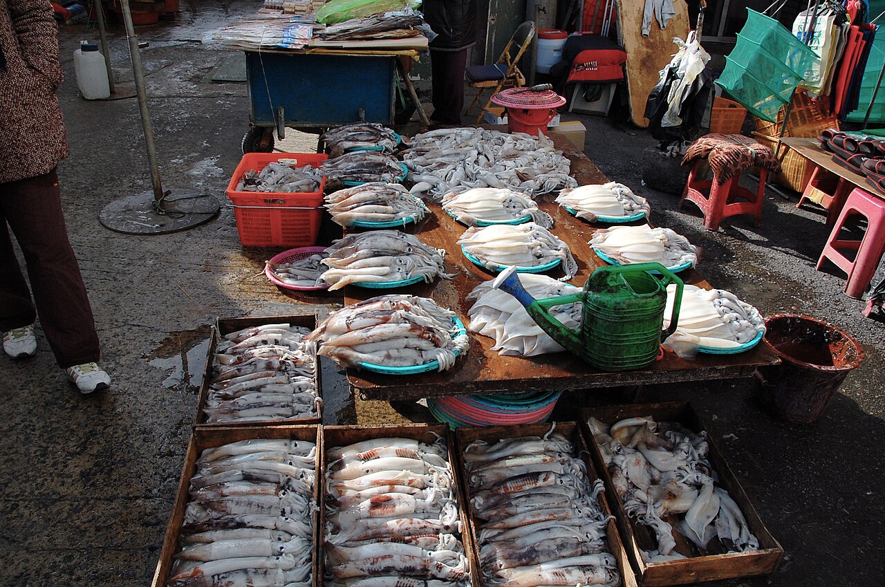 Jagalchi Market (자갈치시장) 4