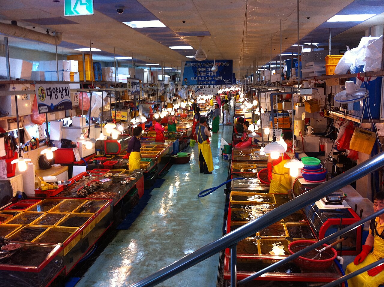 Jagalchi Market (자갈치시장) 2