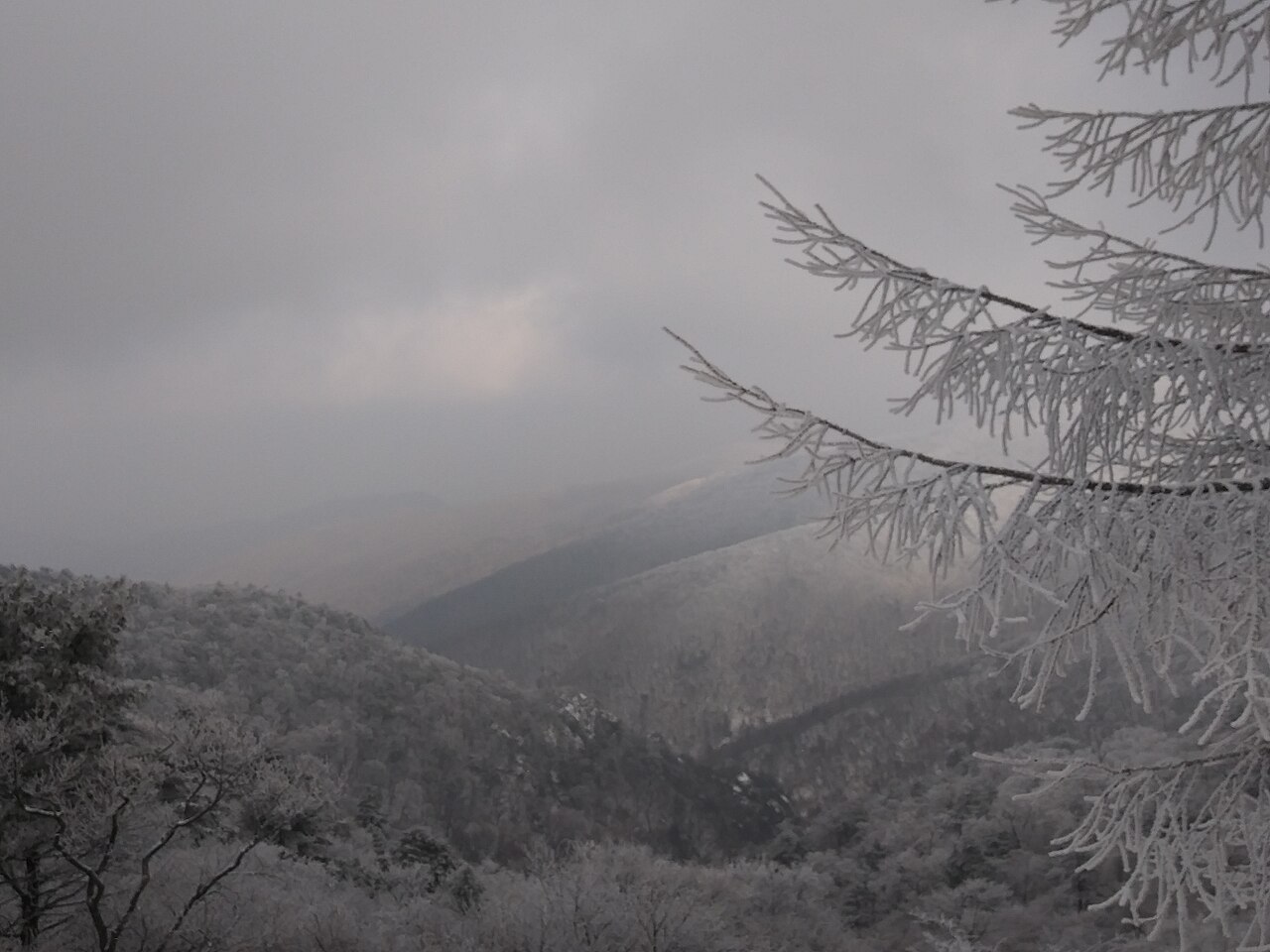 Taebaeksan Mountain (태백산) 2