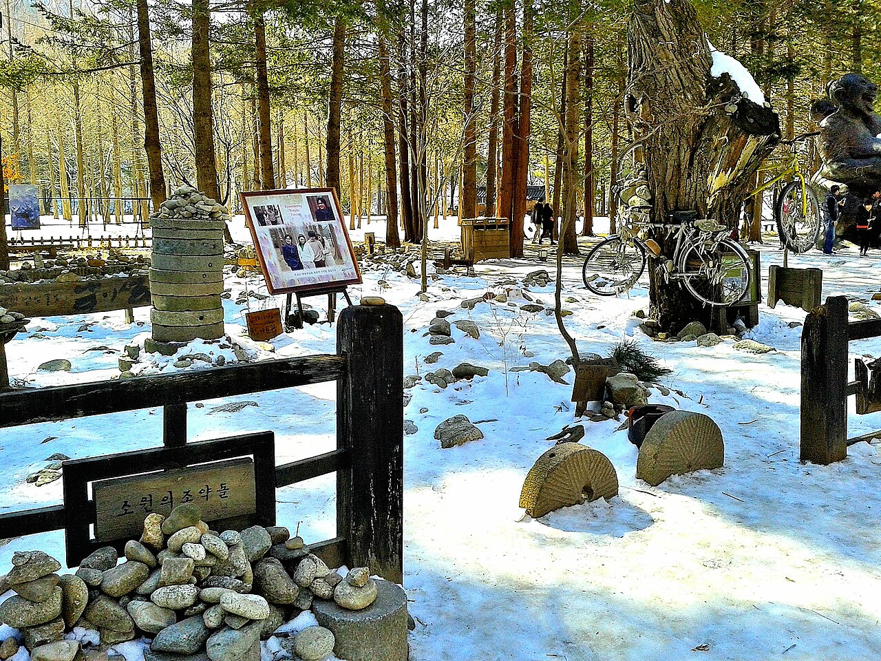 Nami Island (가평 남이섬) 5