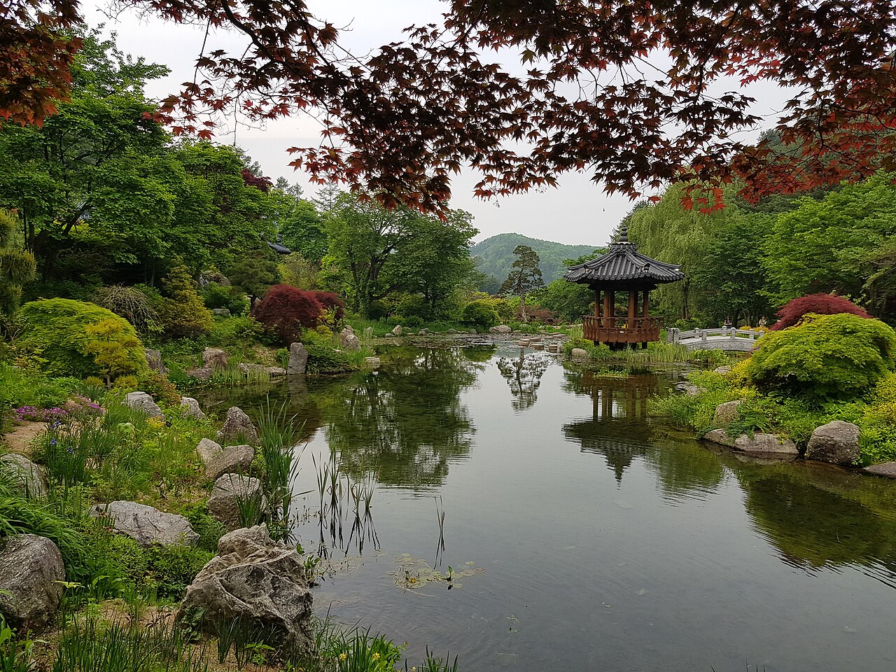 Morning Calm Arboretum (아침고요수목원) 2