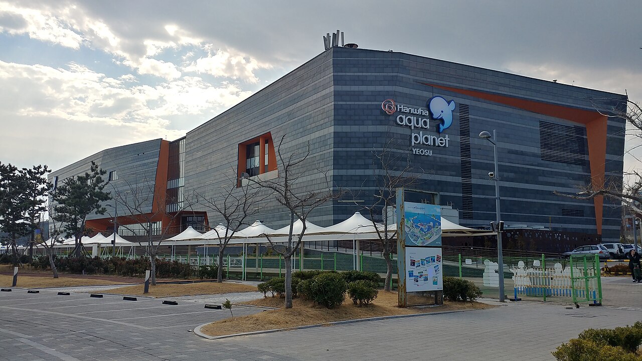 Aqua Planet Yeosu (아쿠아플라넷 여수) 2
